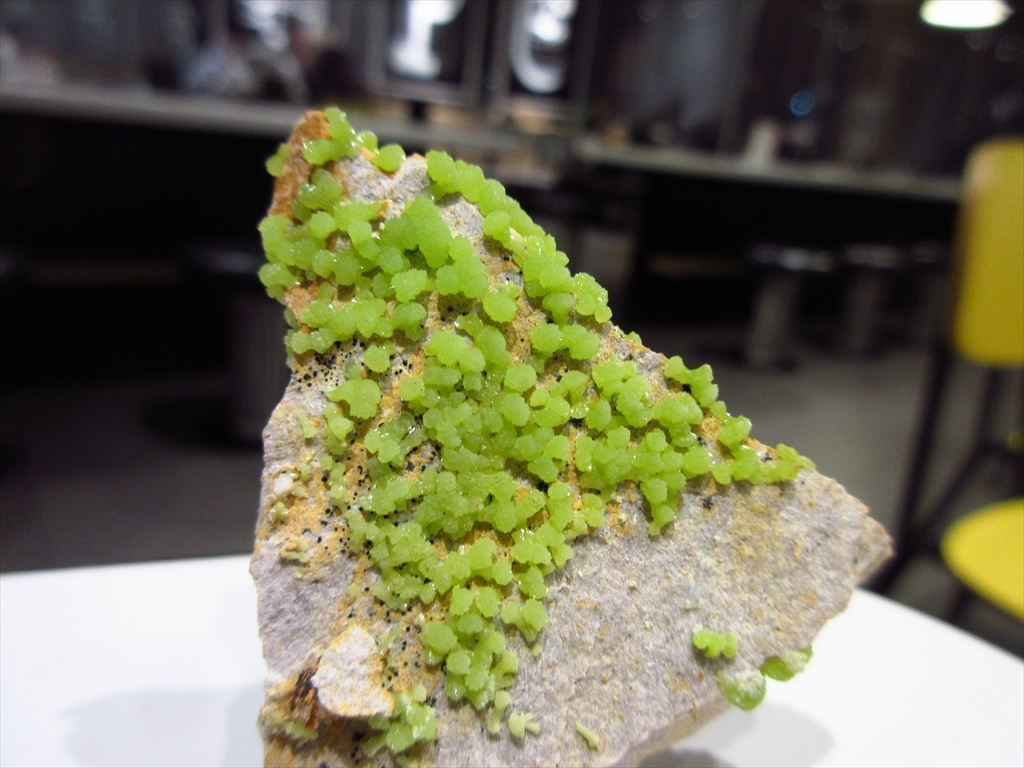 外国産鉱物標本 英国産 パイロモルファイト(緑鉛鉱)