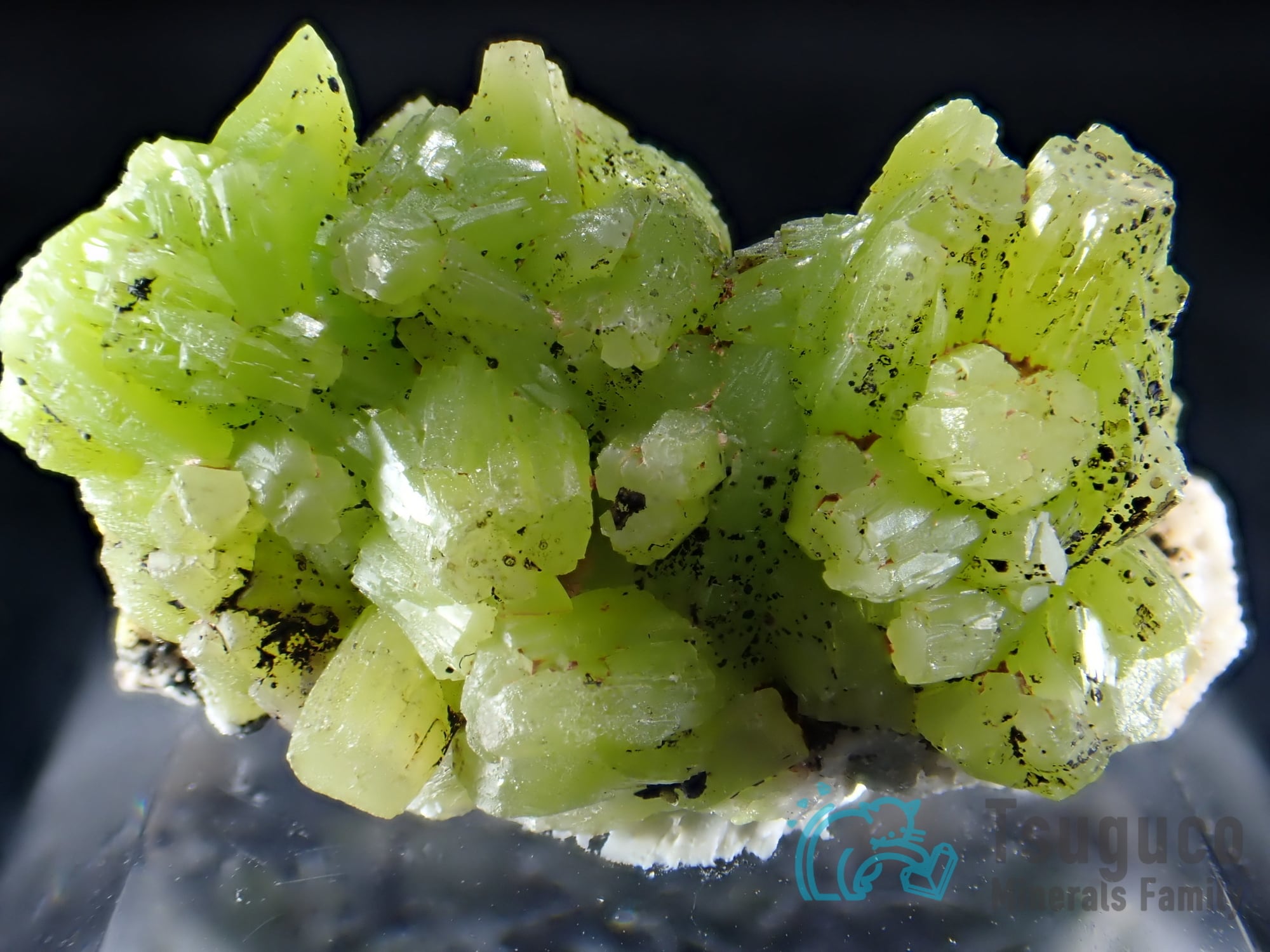 パイロモルファイト 緑鉛鉱 ドイツ TM-710 | つぐこみねらるず ｜鉱物